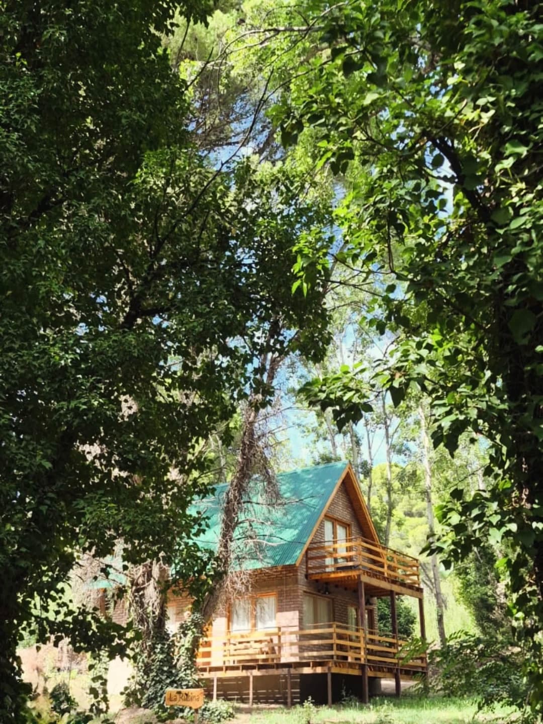cabaña La Rubina entre la copa de los arboles en verano